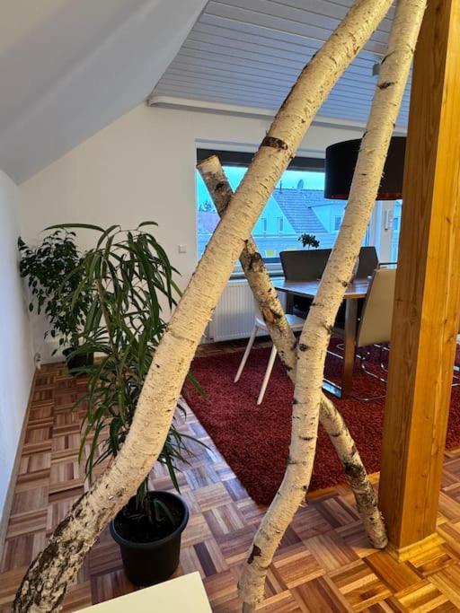 Casa Italia Appartement Oberasbach Buitenkant foto